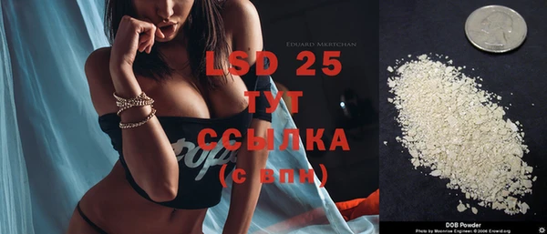 прущие грибы Володарск