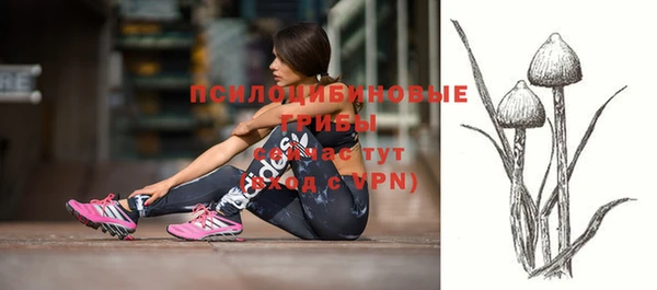 прущие грибы Волосово