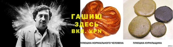 прущие грибы Волосово