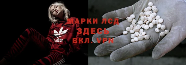 прущие грибы Володарск