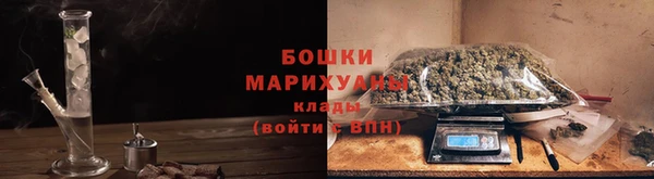 прущие грибы Волосово