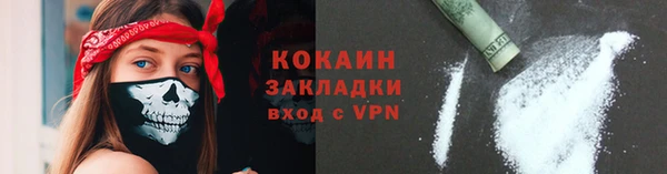 прущие грибы Володарск