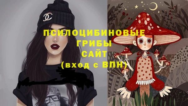 прущие грибы Волосово