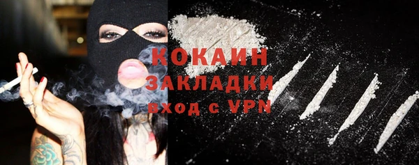 прущие грибы Володарск
