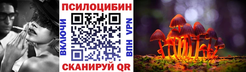 blacksprut зеркало  Вольск  Псилоцибиновые грибы мицелий 