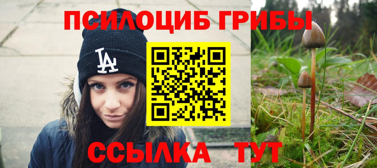 Псилоцибиновые грибы мухоморы  Вход с VPN  Вольск 