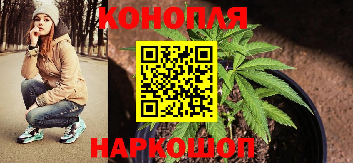 Шишки марихуана THC 21%  Бошки марихуана SATIVA & INDICA  Вход с VPN  Вольск 
